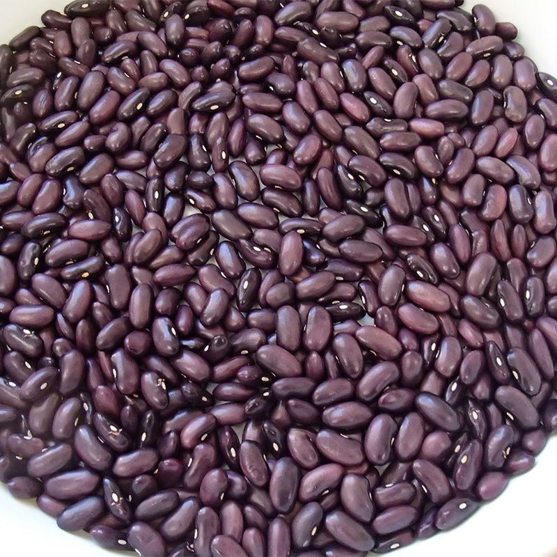 島村インゲン完熟マメ