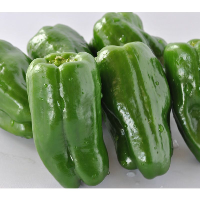 信州みどり（しんしゅうみどり）