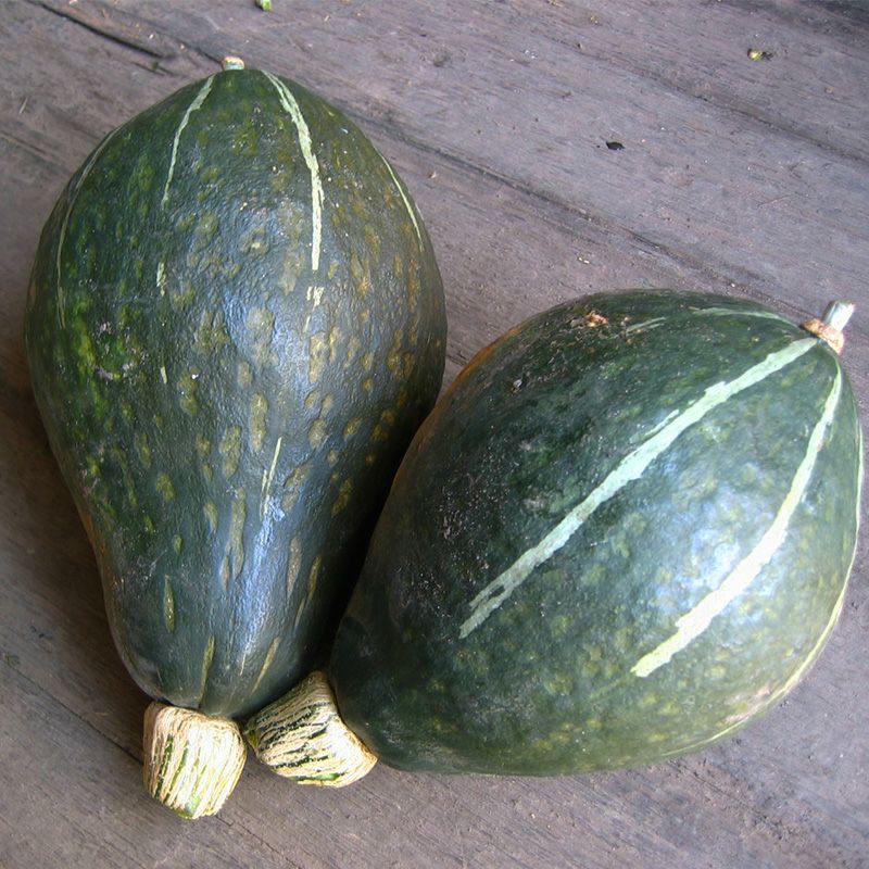 長野在来ハッパード（ながのざいらいはっぱーど）