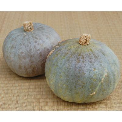 ケイセブン