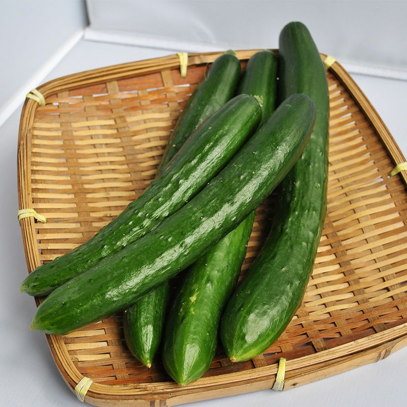 バテシラズ２号