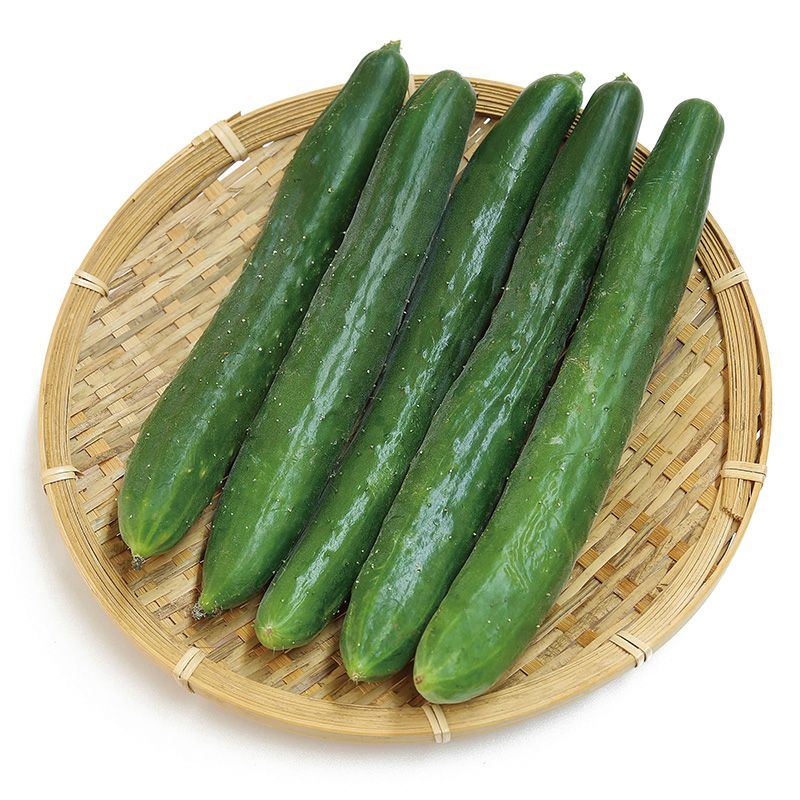 バテシラズ３号