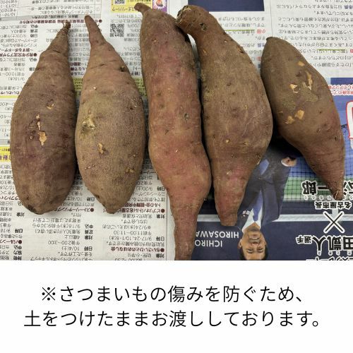 紅はるか